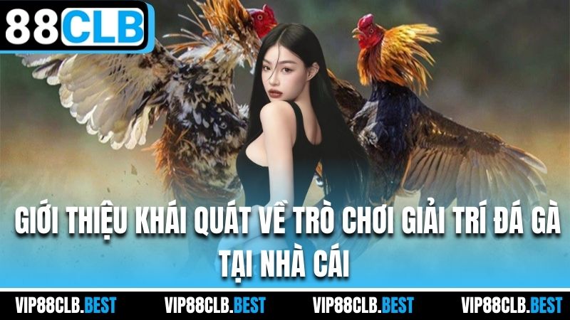 Giới thiệu khái quát về trò chơi giải trí đá gà tại nhà cái 