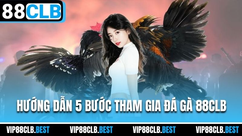 Hướng dẫn 5 bước tham gia đá gà 88CLB