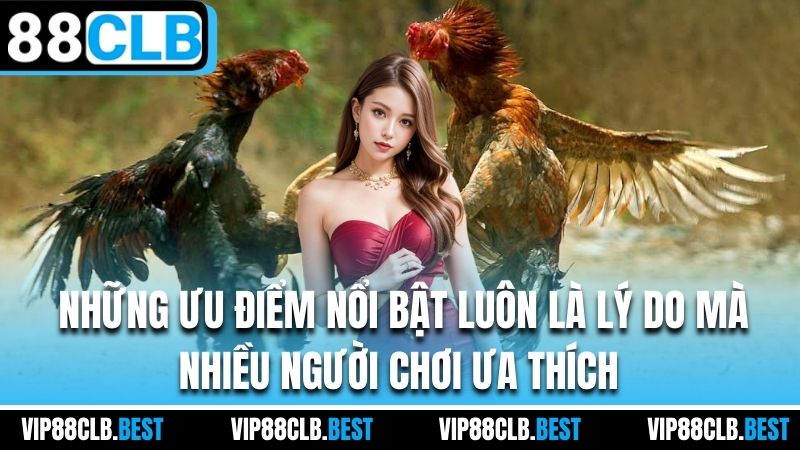những ưu điểm nổi bật luôn là lý do mà nhiều người chơi ưa thích