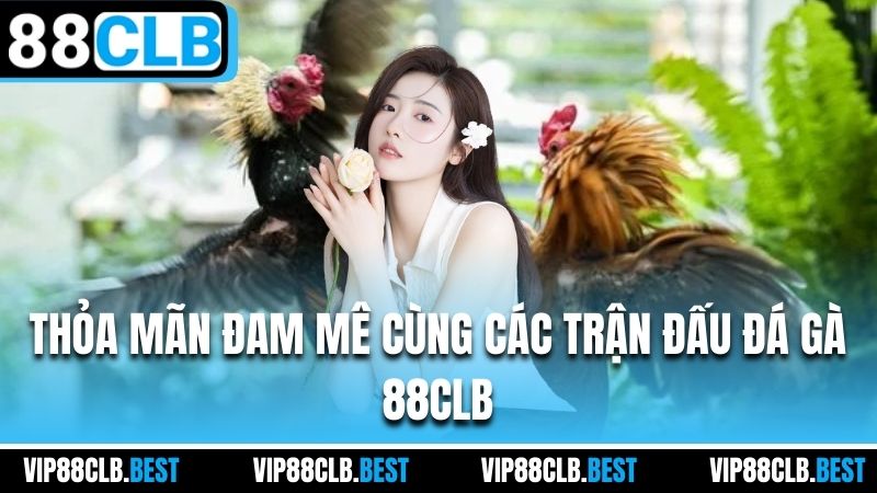 Thỏa mãn đam mê cùng các trận đấu đá gà 88CLB