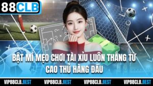 Bật Mí Mẹo Chơi Tài Xỉu Luôn Thắng Từ Cao Thủ Hàng Đầu