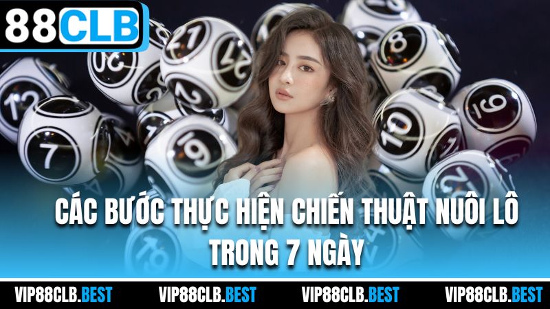 Các bước thực hiện chiến thuật nuôi lô trong 7 ngày