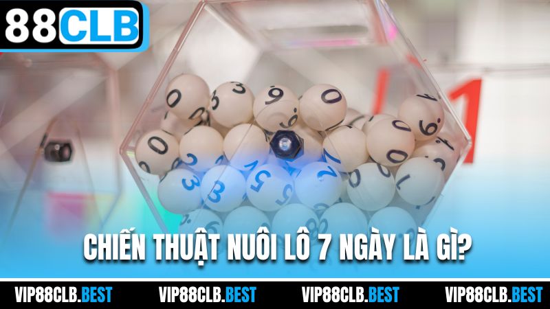 Chiến thuật nuôi lô 7 ngày là gì?