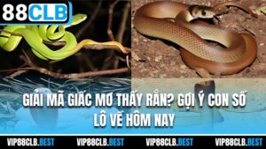 Giải Mã Giấc Mơ Thấy Rắn? Gợi Ý Con Số Lô Về Hôm Nay