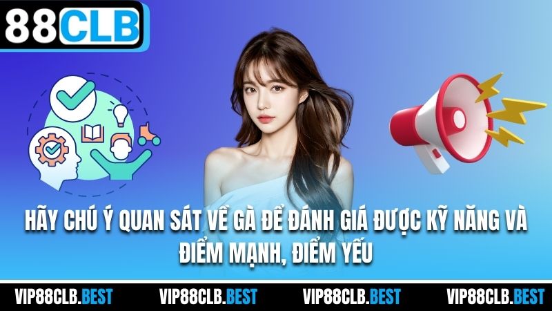 Hãy chú ý quan sát về gà để đánh giá được kỹ năng và điểm mạnh, điểm yếu