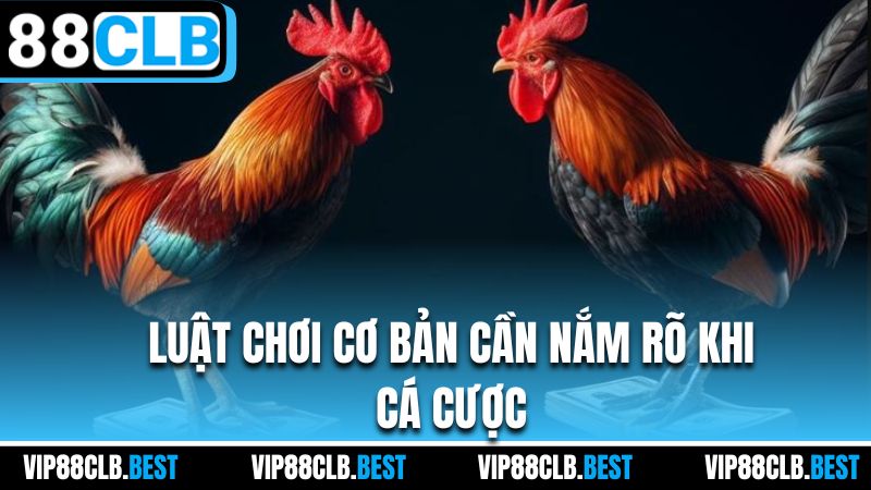 Luật chơi cơ bản cần nắm rõ khi cá cược