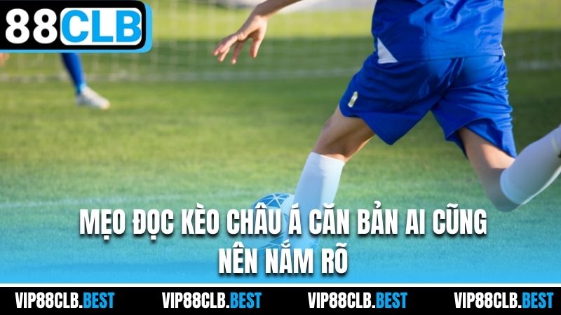 Mẹo đọc kèo châu Á căn bản ai cũng nên nắm rõ