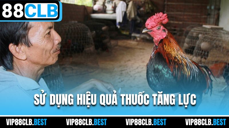 Sử dụng hiệu quả thuốc tăng lực