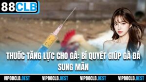 Ảnh đại diện - Thuốc tăng lực cho gà