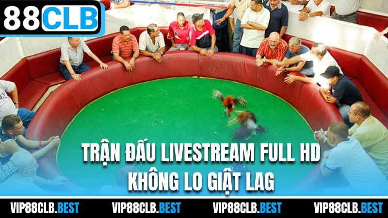 Trận đấu livestream full HD không lo giật lag