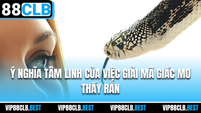 Ý nghĩa tâm linh của việc giải mã giấc mơ thấy rắn